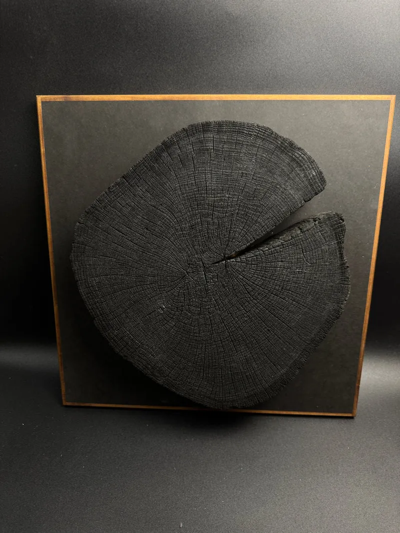 Wandbild einer Baumscheibe 155