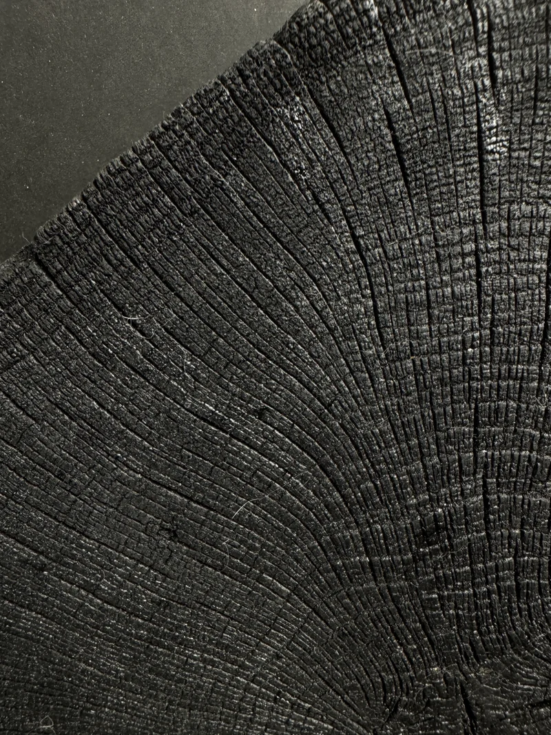 Wandbild einer Baumscheibe 155