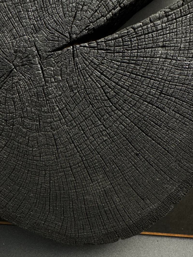 Wandbild einer Baumscheibe 155