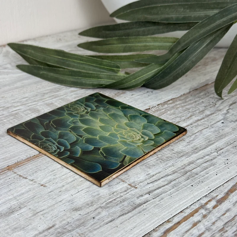 Untersetzer Sukkulente Echeveria Holz Quadratisch 10x10 Deko Küchenbedarf