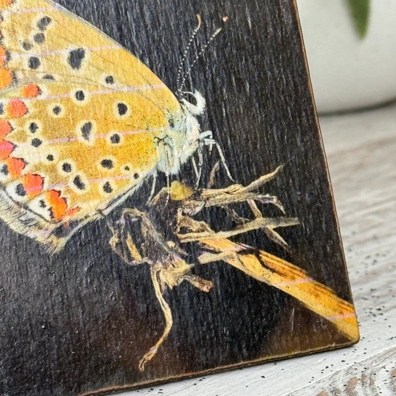 Untersetzer Schmetterling Perlmutterfalter Holz Quadratisch 10x10 Deko Küchenbedarf