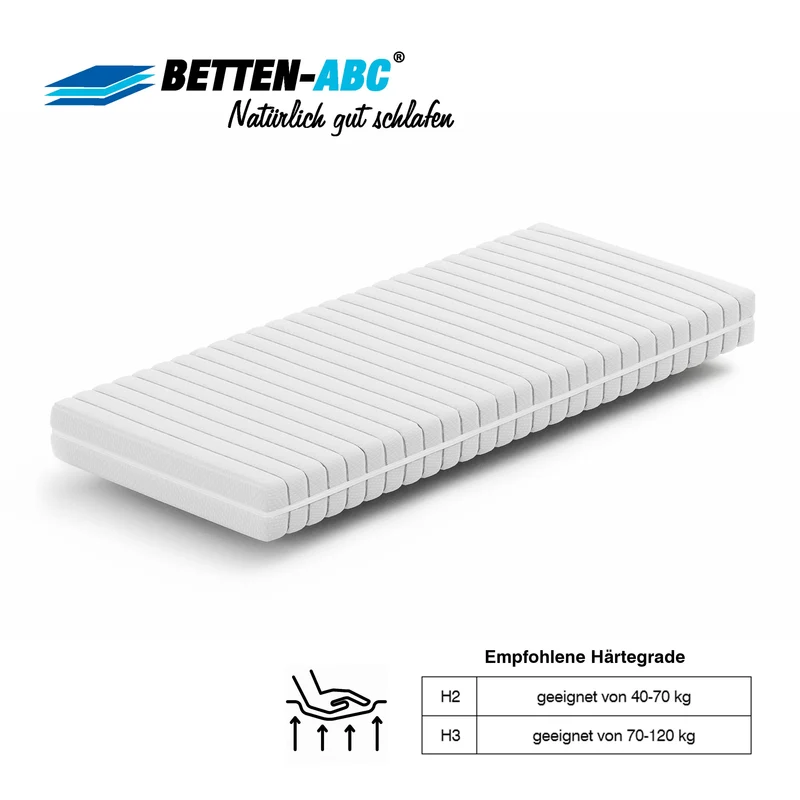 Matratzenset: 80x200cm KSP-500 Matratze in H2 + Max1 NV Lattenrost