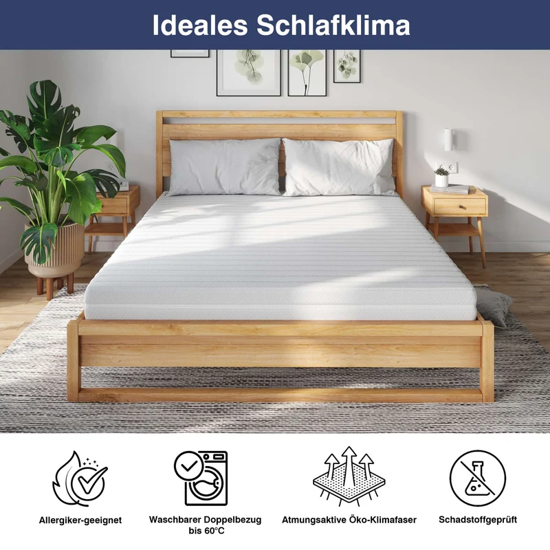 Matratzenset: 100x200cm KSP-500 Matratze in H2 + Max1 NV Lattenrost