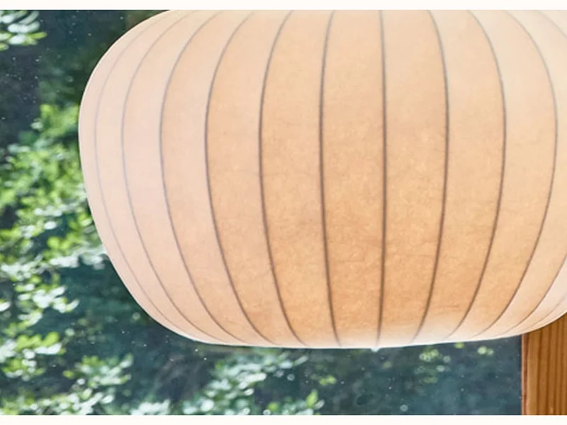 Suspension Hikari