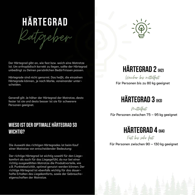 Schwarzwaldmarie Klara Taschenfederkern-Matratze