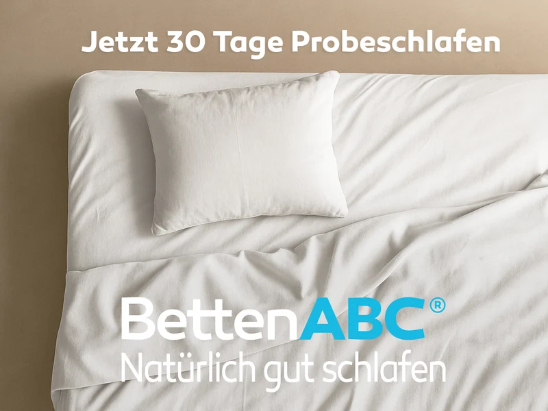 Betten-ABC Move Elektro Lattenrost