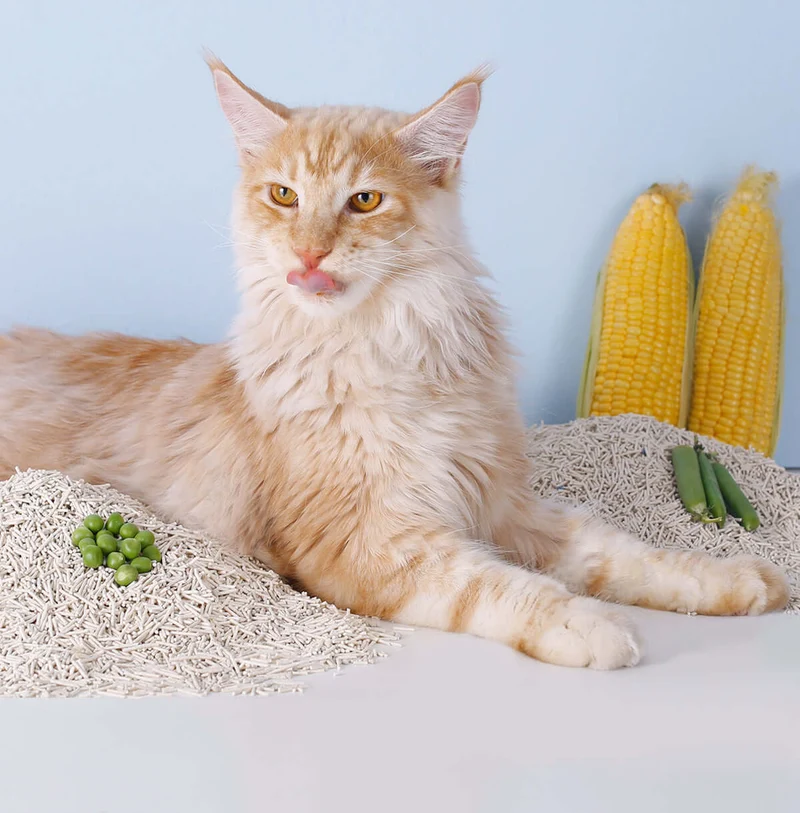 3-in-1 Mixed Crushed Bentonite and Tofu Cat Litter