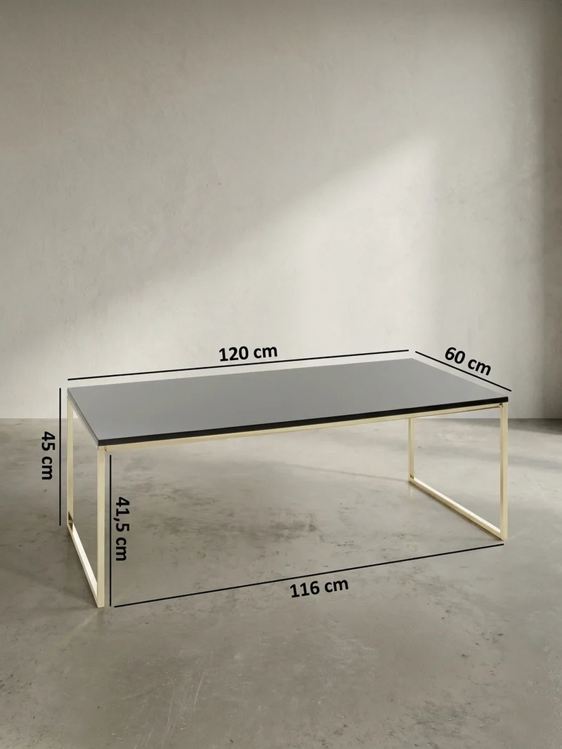 Couchtisch RIVA, Schwarz, Metall und Holz, Filigrane Beine, Maße 120x45x60 cm
