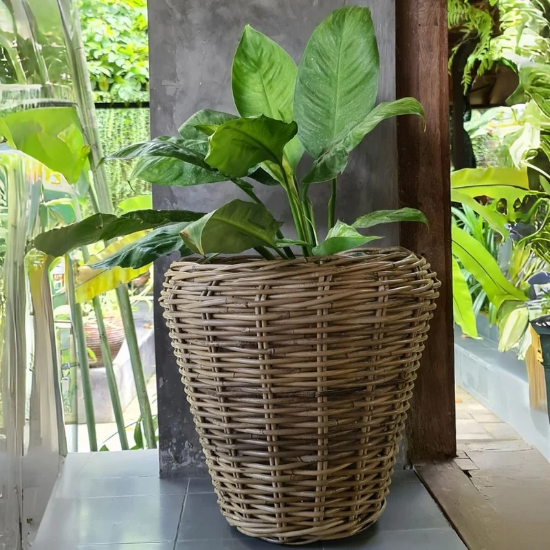 Natur Rattan Pflanzkorb AMRUM Kubu Grey ca.H30cm Pflanztopf