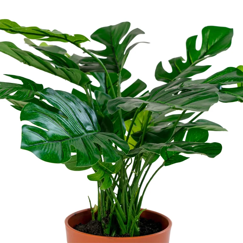 Künstliche Pflanze Monstera FENSTERBLATT ca. H45cm Deliciosa