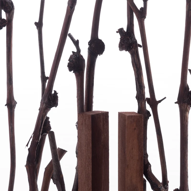 ZWEIGE RAUMTEILER "FORES" | 170cm, Holz | Äste Paravent