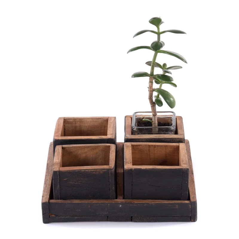 HOLZ AUFBEWAHRUNGSKISTEN "CUBO" | 24x9 cm (BxH), Mahagoni | Kistenset | Farbe: 04 schwarz-natur