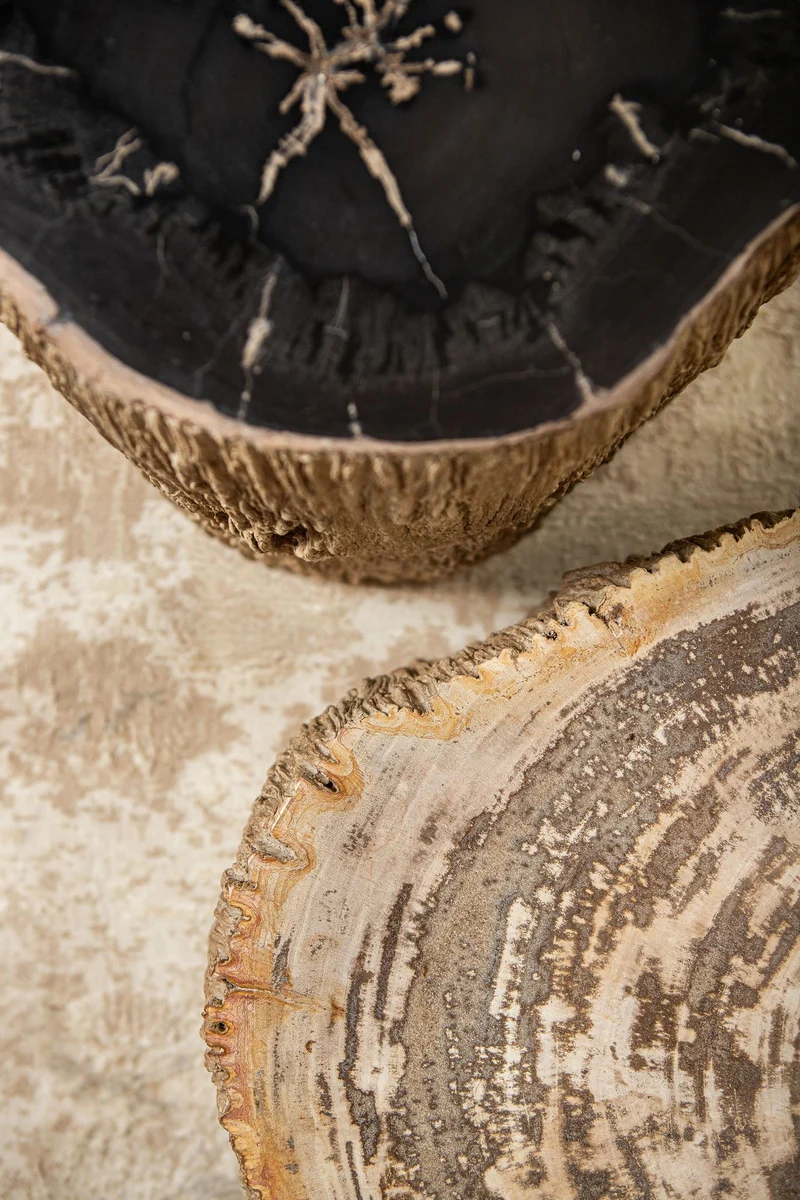 Beistelltisch Taly Natur Rund | Versteinertes Holz als skulpturales Unikat