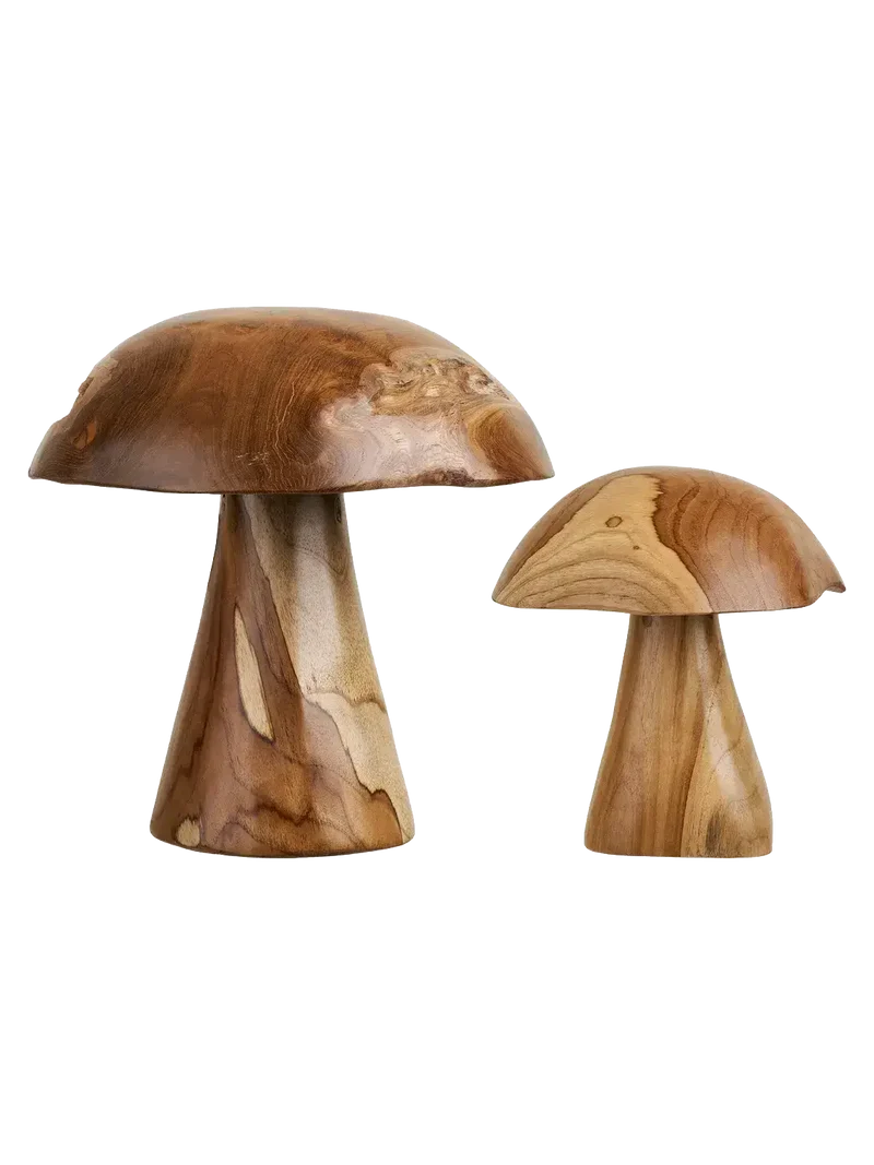 Kodi Deko-Pilze Teak, natur