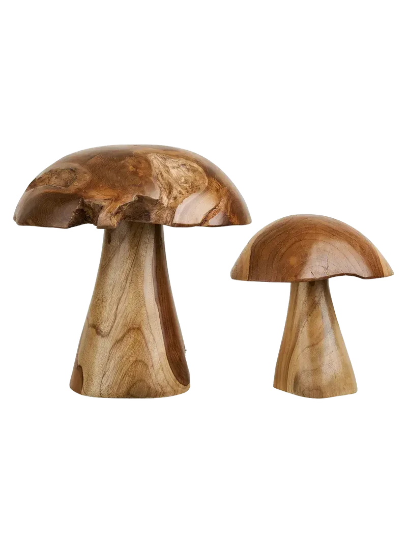 Kodi Deko-Pilze Teak, natur