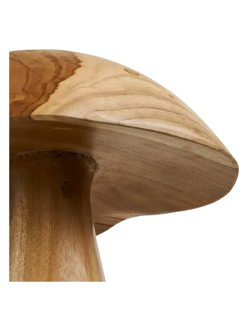 Kodi Deko-Pilze Teak, natur