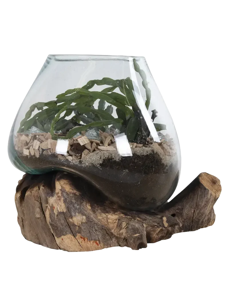 San Marino Deko-Tropfen Teak/Glas, natur – H 15–20 cm