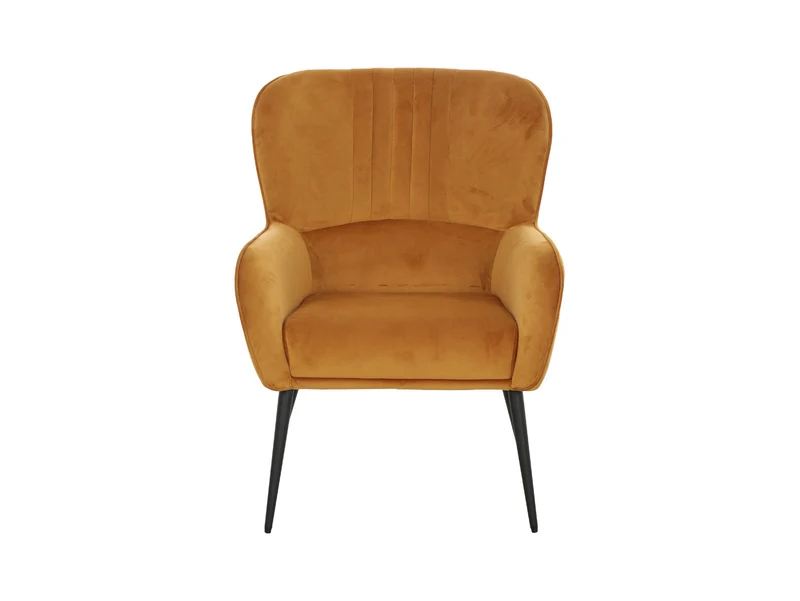 Samon Wing Armchair – Velvet Accent Chair with High Back & Black Metal Legs