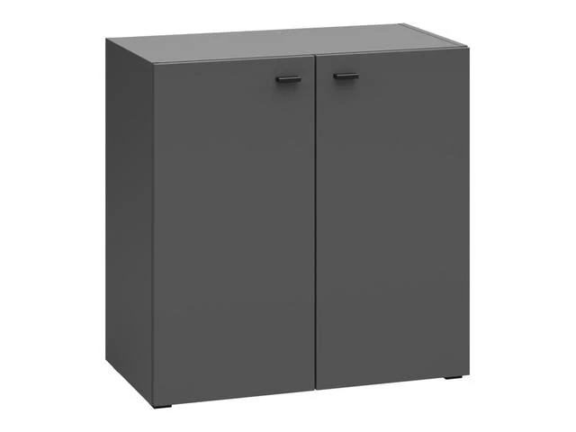 System 64 Double-Door Cabinet 64×64 cm – Graphite, Internal Shelf, Wall or Floor Mount