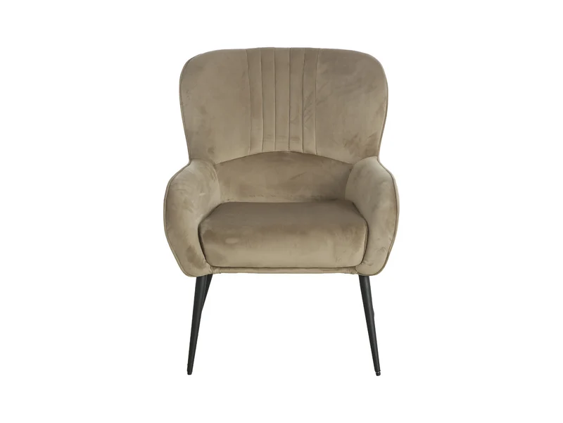 Samon Wingback Armchair | Velvet Upholstery | Black Legs
