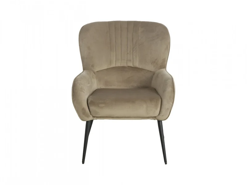 Samon Wingback Armchair | Velvet Upholstery | Black Legs