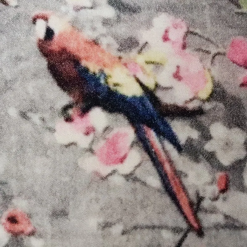 Kissenhülle Velours | BIRDS