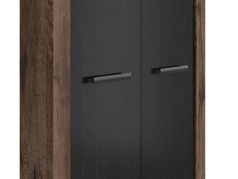 Balin 2-Door Wardrobe 98x195 – Monastery Oak & Black Oak