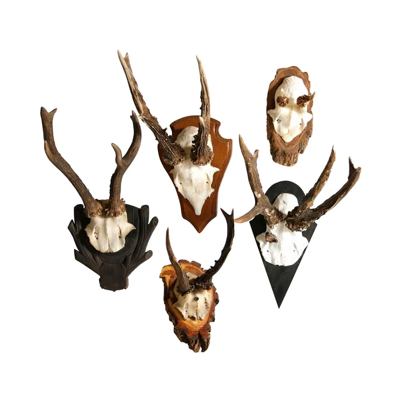 Vintage Antler Plaque