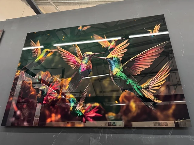 Bild bunte Vögel, Glas Bild bunt, Breite 160 cm