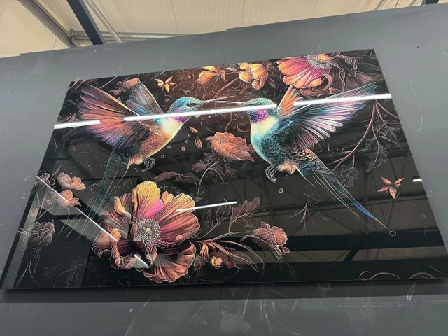 Bild bunte Vögel, Glas Bild bunt, Breite 160 cm