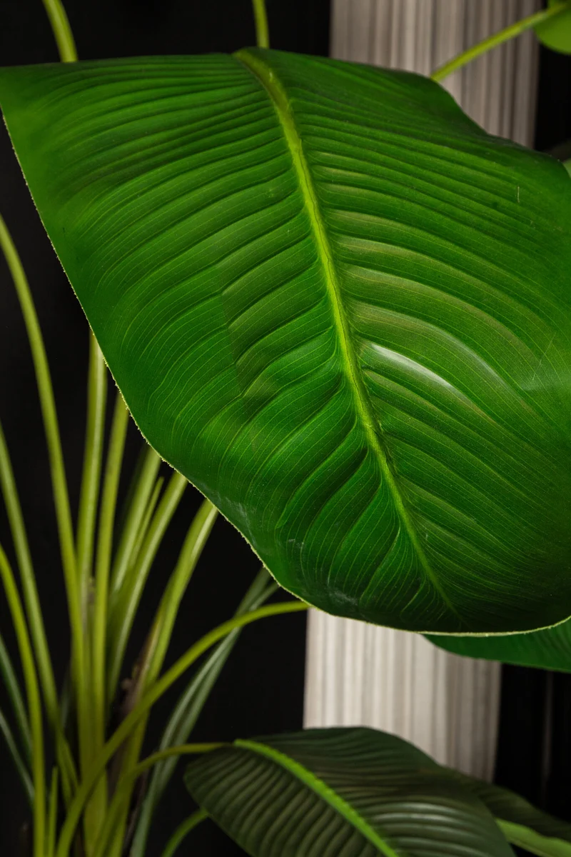 Künstlicher Bananenbaum XL, Deko-Bananenpflanze grün, Kunstpflanze Bananenstaude grün, Höhe 235 cm