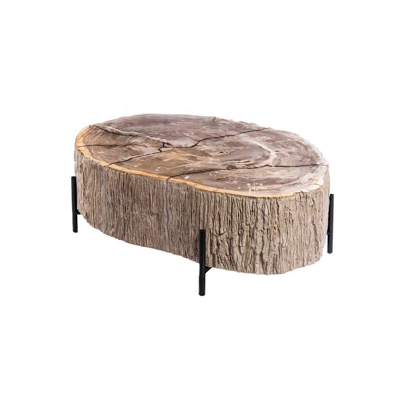 Couchtische versteinertes Holz, Länge 120 cm